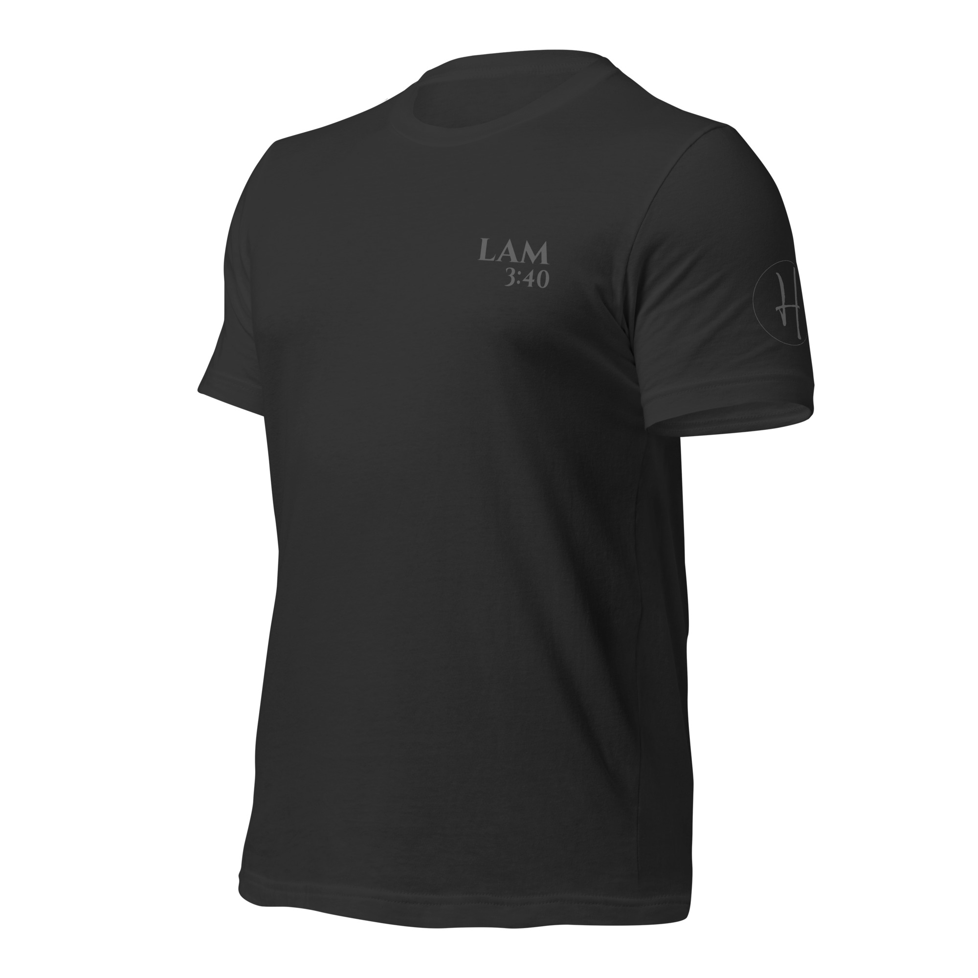 Lamentations 3:40 | Blackout | Examine, Search, Return - Image 11
